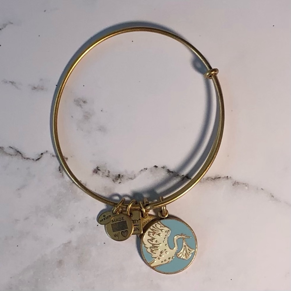 Special Delivery with Stork Alex and Ani Charm Bracelet